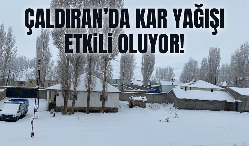 Van Çaldıran’da kar yağışı etkili oluyor!