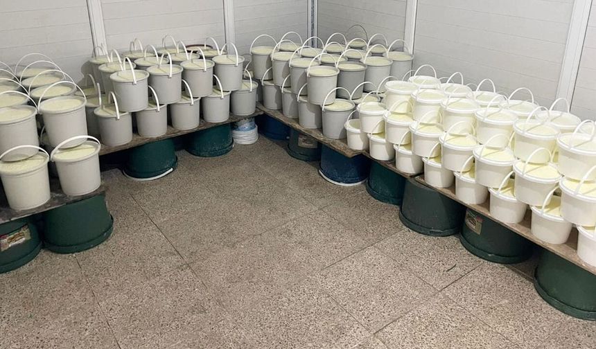 Van’da 1 ton süt ve 239 kova yoğurdu imha edildi
