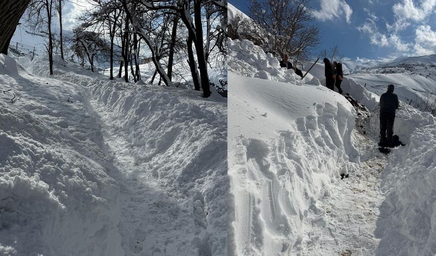 Çatak kar altında, belediye ortada yok!