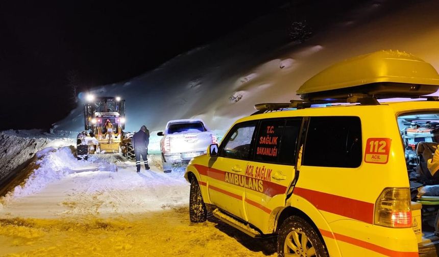 Van’da kar ve tipi hastalara geçit vermedi! Ekiplerden zorlu mesai
