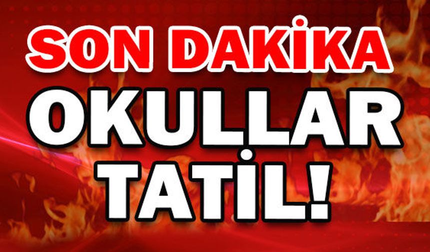 Van Valiliği'nden son dakika açıklaması! Okullar tatil edildi
