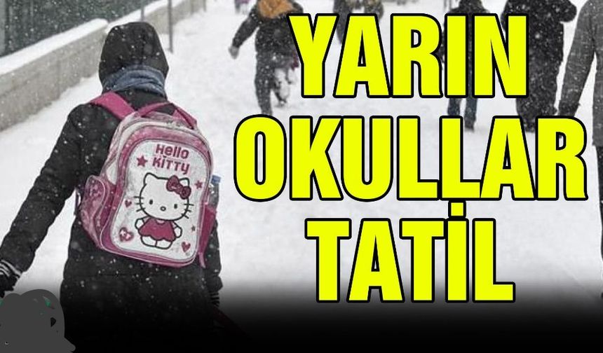 Van’da dört ilçede okullar tatil edildi! Yoğun kar ve buzlanma nedeniyle 1 gün ara