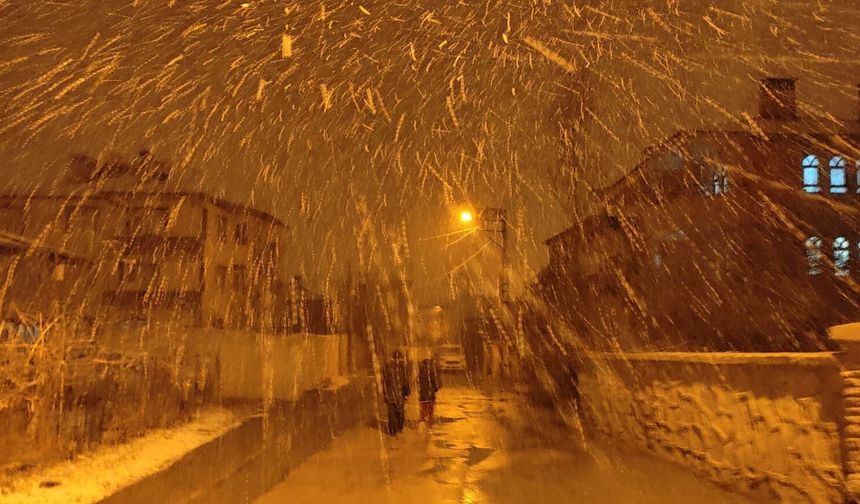 Van'da yoğun kar yağışı etkili oluyor!