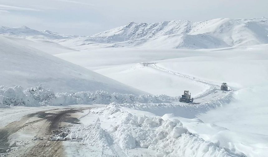 Van'da 76 yerleşim yerinin yolu ulaşım yok!