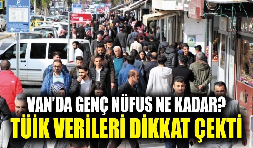 Van’da genç nüfus ne kadar? TÜİK verileri dikkat çekti