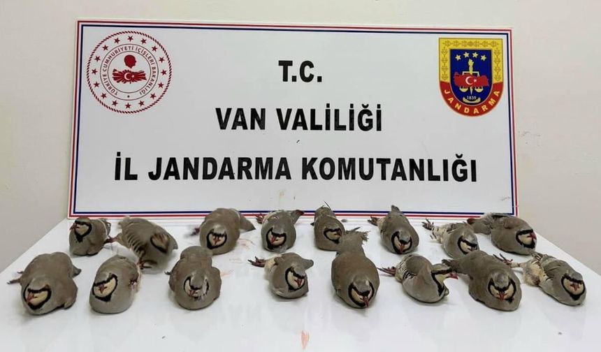 Van’da keklik avcılarına ceza yağdı
