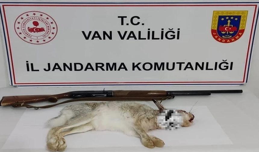 Van’da yaban tavşan avlayan şahsa büyük ceza
