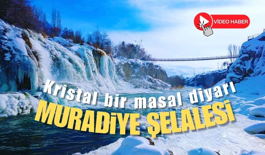 Van'ın incisi Muradiye Şelalesi: Kış uykusunda bir doğa harikası