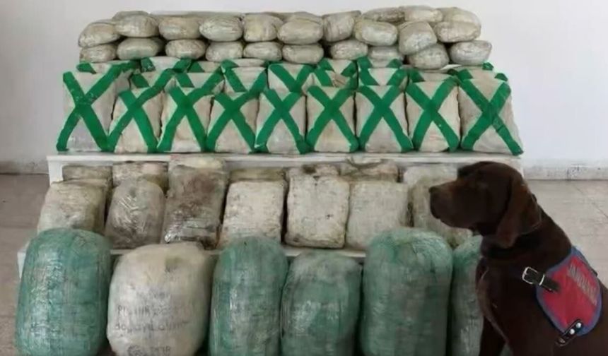 Van ve Hakkari’de dev operasyon