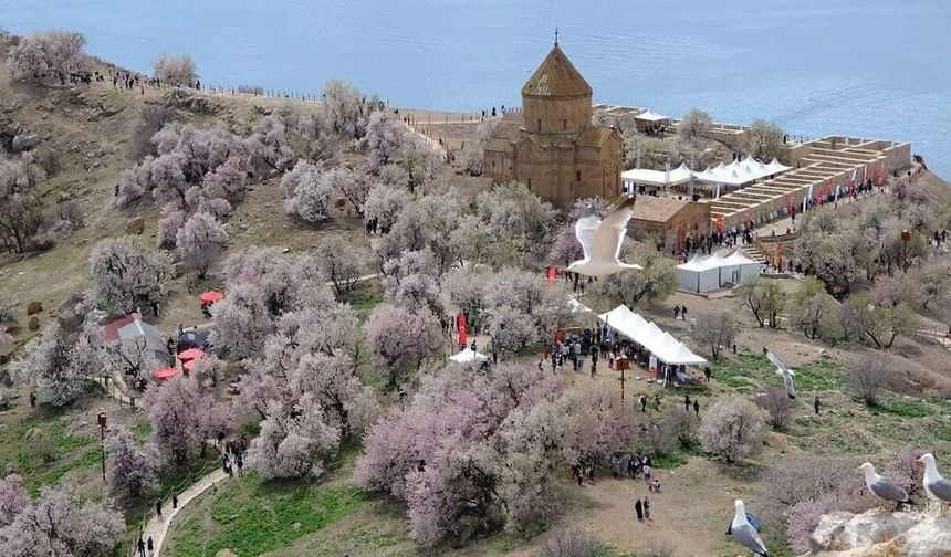 Van’da Akdamar Badem Çiçeği Festivali için geri sayım başladı