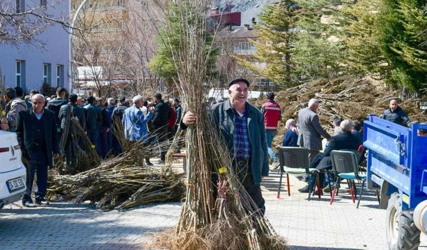 Van’da çiftçilere %90 hibeli meyve fidanı desteği