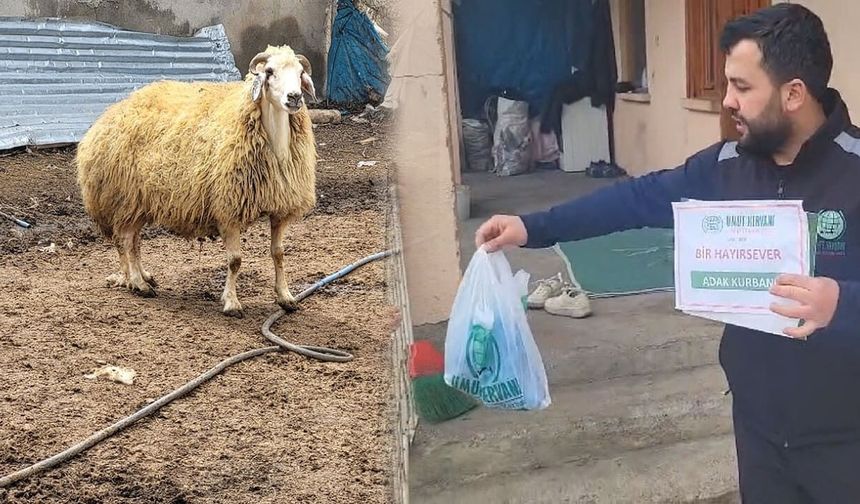 Van'da kesilen adak kurbanları ihtiyaç sahiplerine ulaştırıldı