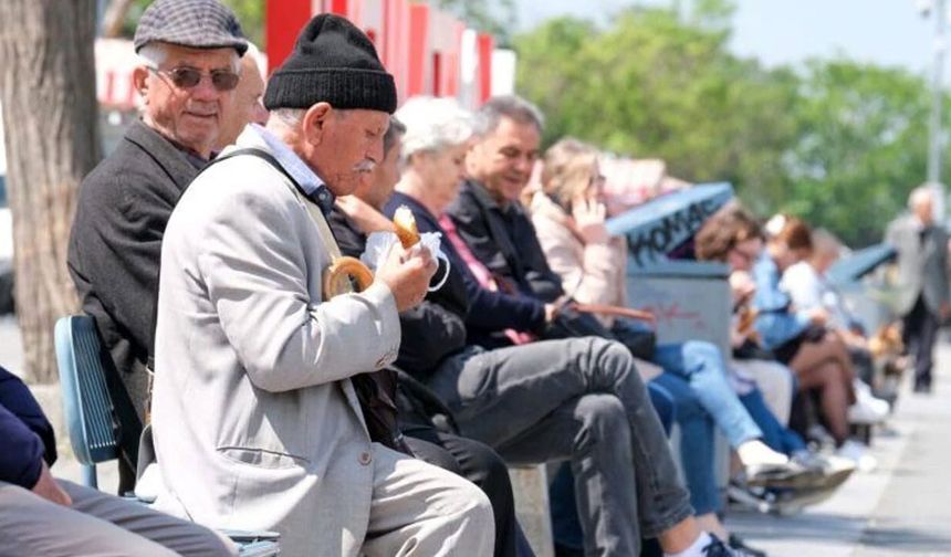 Van’da yaşlı nüfusun kaçı erkeklerden oluşuyor?