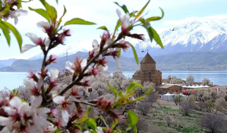 Akdamar Adası, renk cümbüşüne büründü