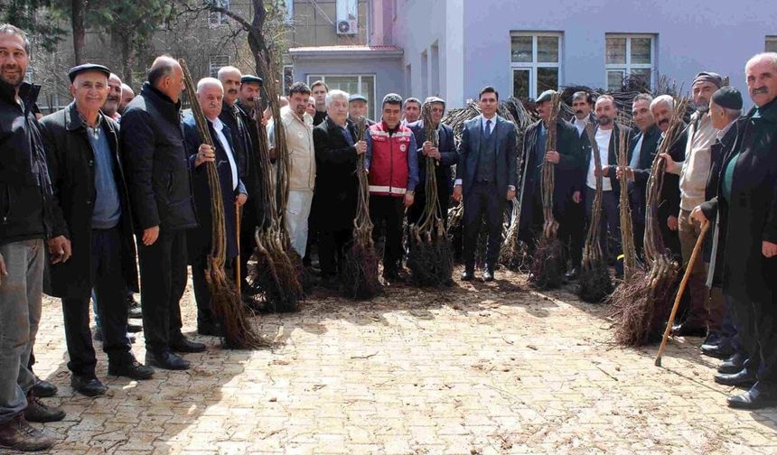 Çatak’ta 53 bin fidan toprakla buluştu