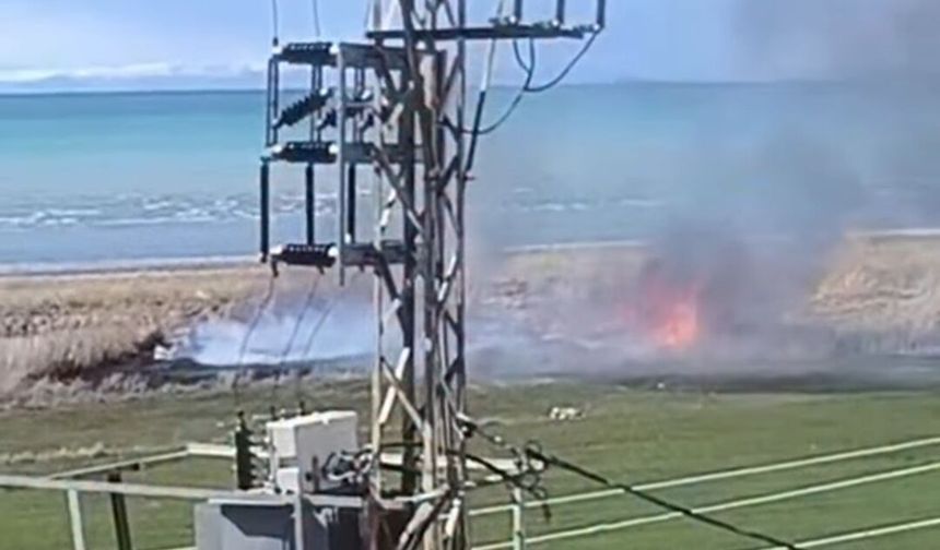 Van Edremit'te sazlık alanda yangın