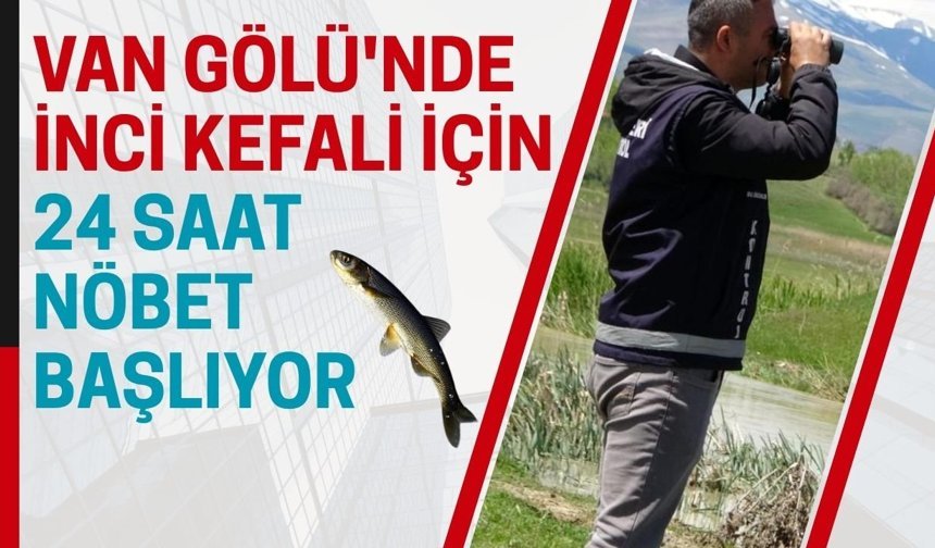 Van Gölü'nde inci kefali için 24 saat nöbet başlıyor