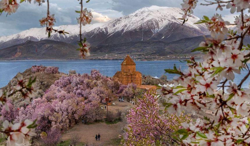 Van’da 4. Badem Çiçeği Festivali başlıyor