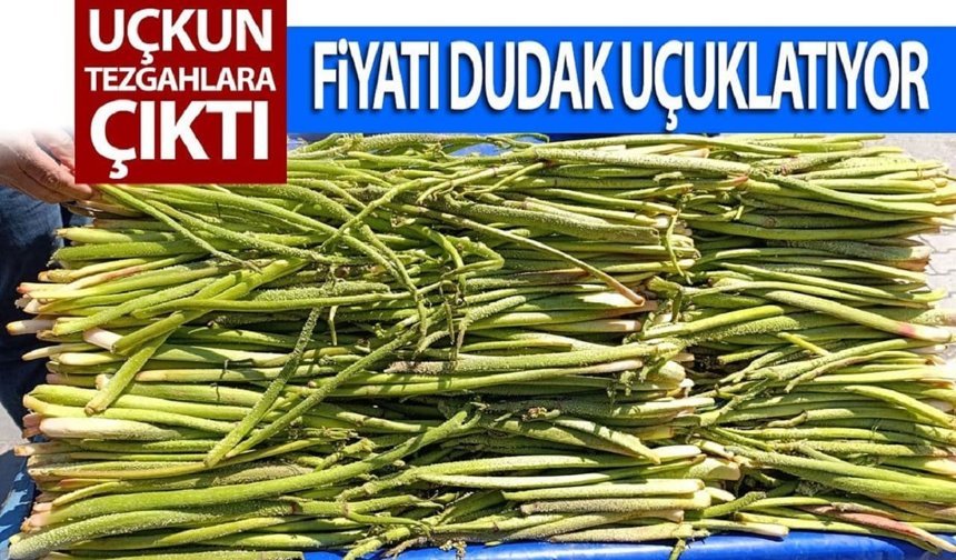 Van’da ilk uçkunlar tezgaha çıktı: Fiyatlar cep yakıyor