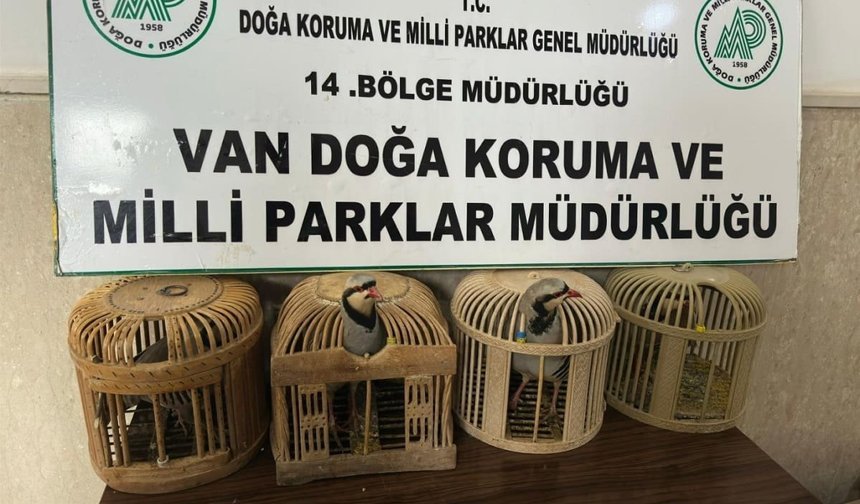 Van’da kafes avcılığı yapan kişiye 86 bin TL ceza!