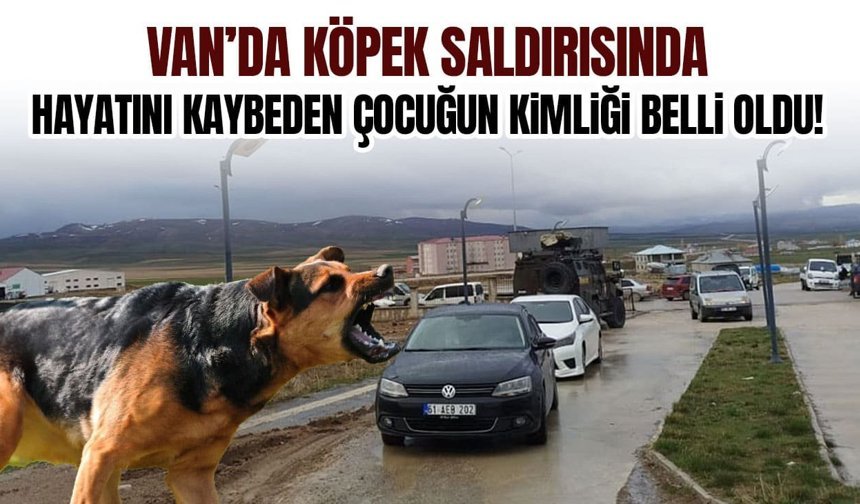 Van’da köpek saldırısında hayatını kaybeden çocuğun kimliği belli oldu!
