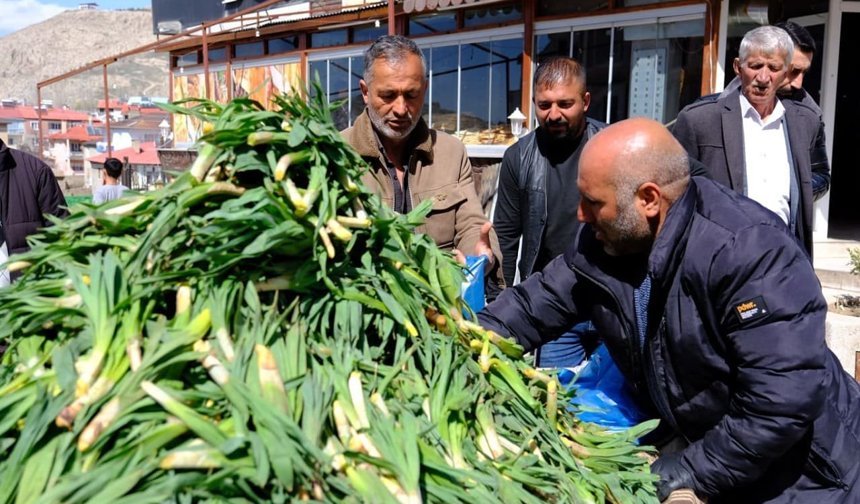 Van’da şifa kaynağı çiriş, tezgahlardaki yerini aldı