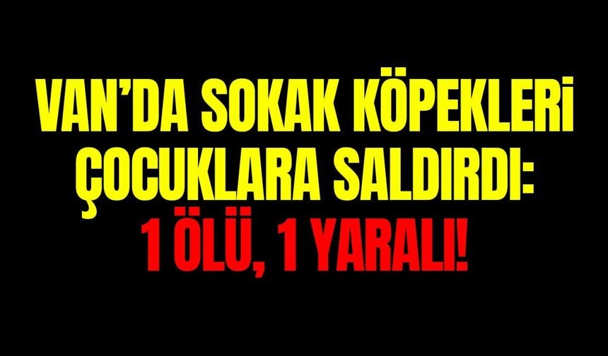 Van’da sokak köpekleri çocuklara saldırdı: 1 ölü, 1 yaralı!