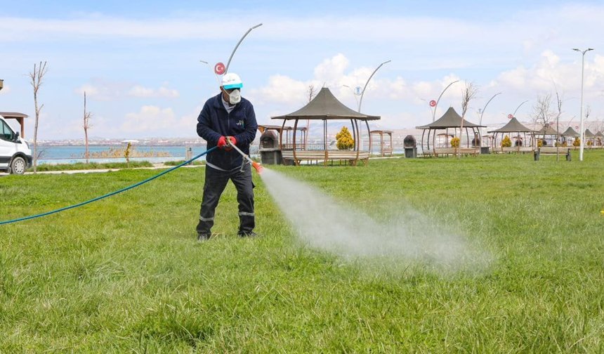 Van’da yaz öncesi haşereyle mücadele seferberliği başladı