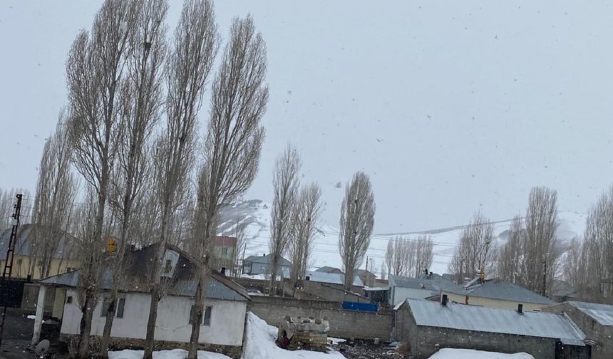 Van’ın ilçelerinde kar yağışı etkili oluyor!