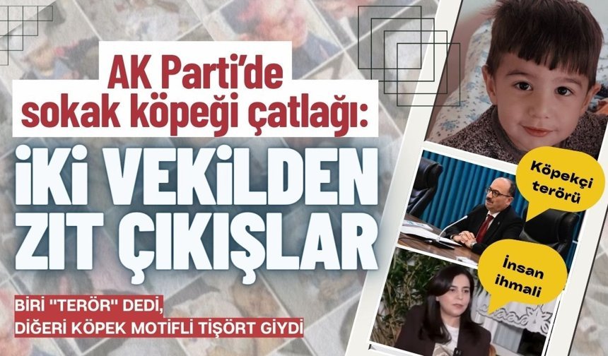 AK Parti’de sokak köpeği çatlağı: İki vekilden zıt çıkışlar