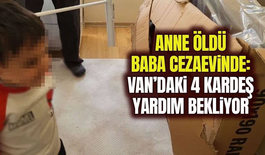 Anne öldü, baba cezaevinde: Van’daki 4 kardeş yardım bekliyor