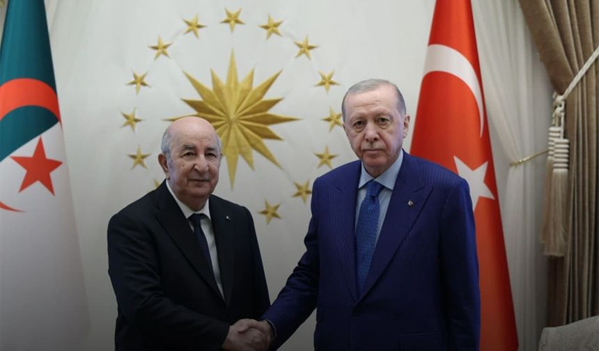 Cumhurbaşkanı Erdoğan, Cezayir Cumhurbaşkanı Tebbun ile görüştü