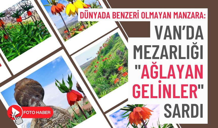 Van’da Mezarlığı "Ağlayan Gelinler" sardı