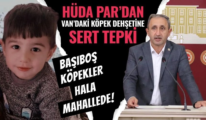 HÜDA PAR Milletvekili Demir’den Van’daki köpek dehşetine sert tepki