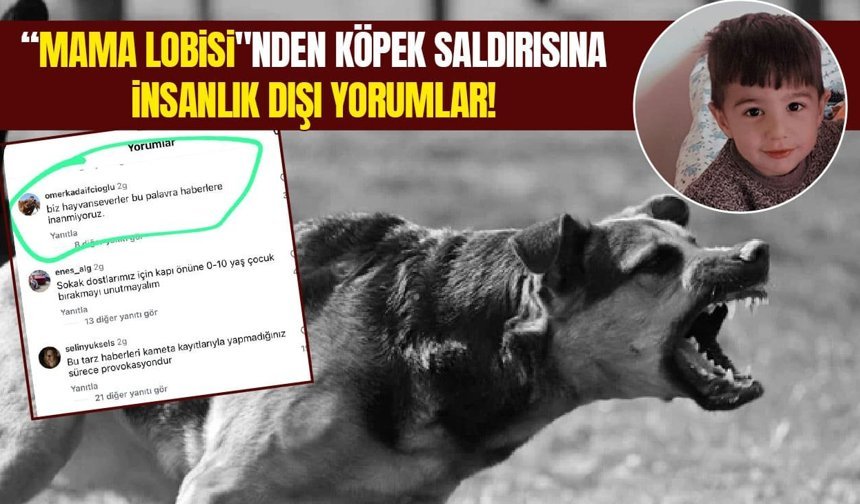“Mama lobisi"nden Van’daki köpek saldırısına ilişkin insanlık dışı yorumlar!
