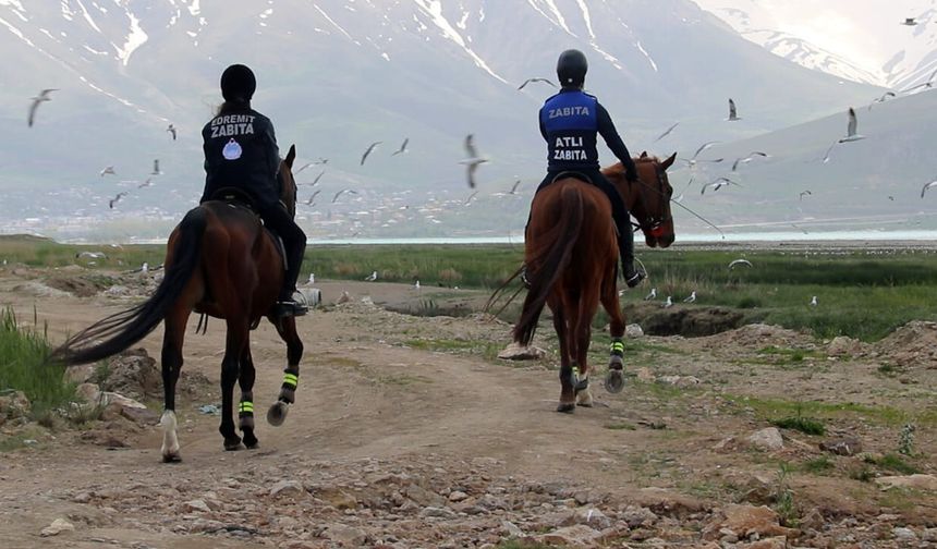 Van Balığı için ekipler sahada