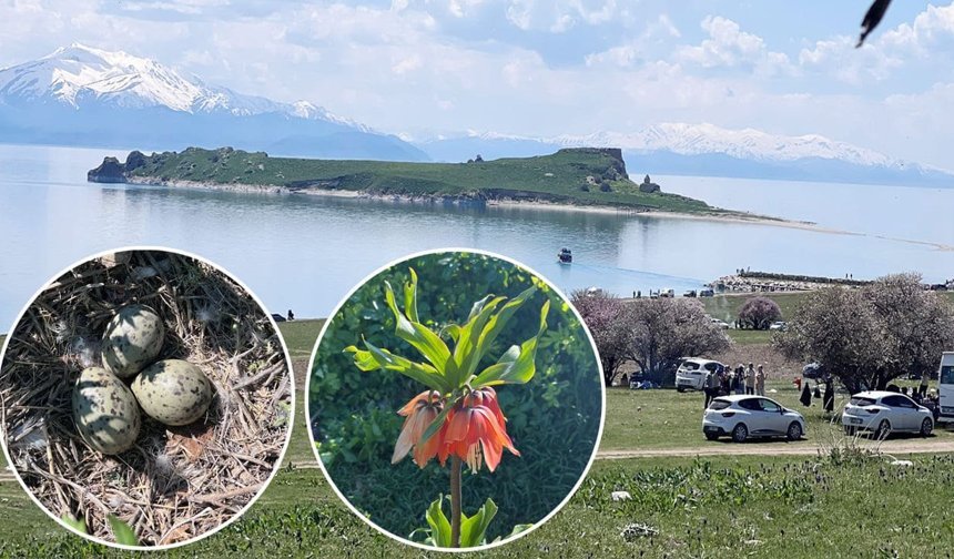 Van Gölü’nün incisi Çarpanak Adası’nda ekolojik ve kültürel yıkım alarmı