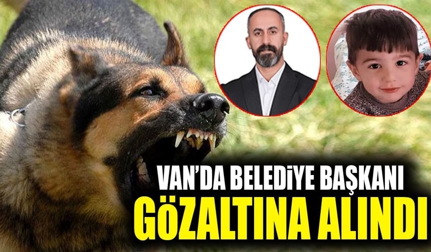 Van’da belediye başkanı gözaltına alındı