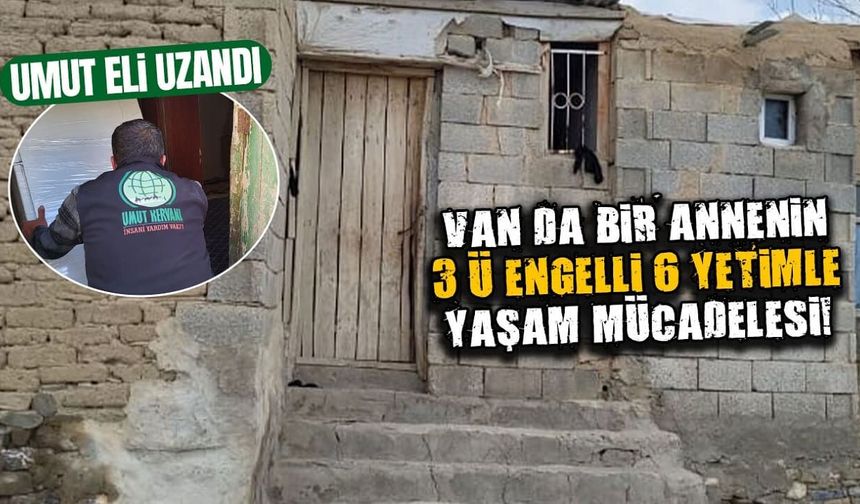 Van’da bir annenin 3’ü engelli 6 yetimle yaşam mücadelesi!