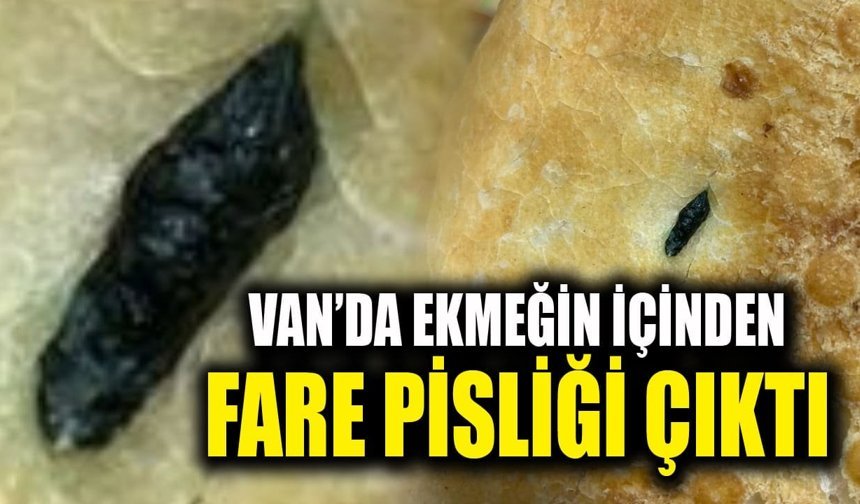 Van’da ekmeğin içinden fare pisliği çıktı
