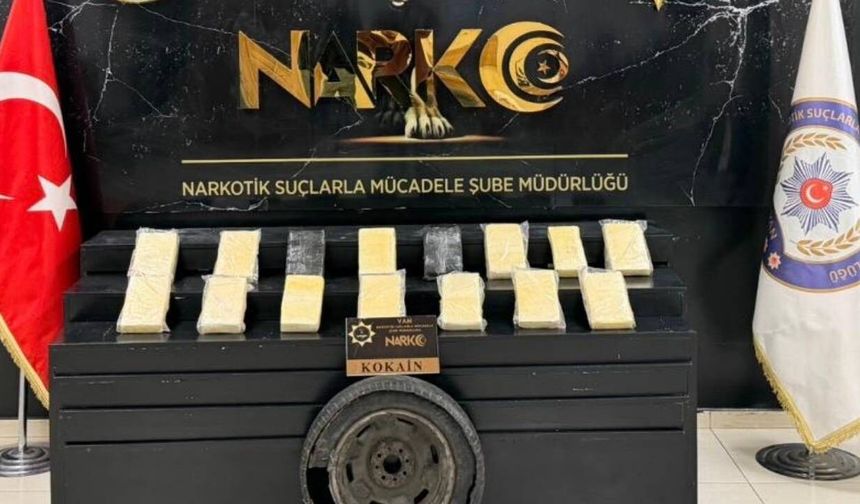 Van'da kokain taşıyıcısı yakalandı!