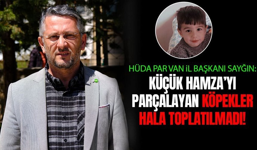 “Van’da küçük çocuğu parçalayarak yiyen köpekler hala toplatılmadı!”