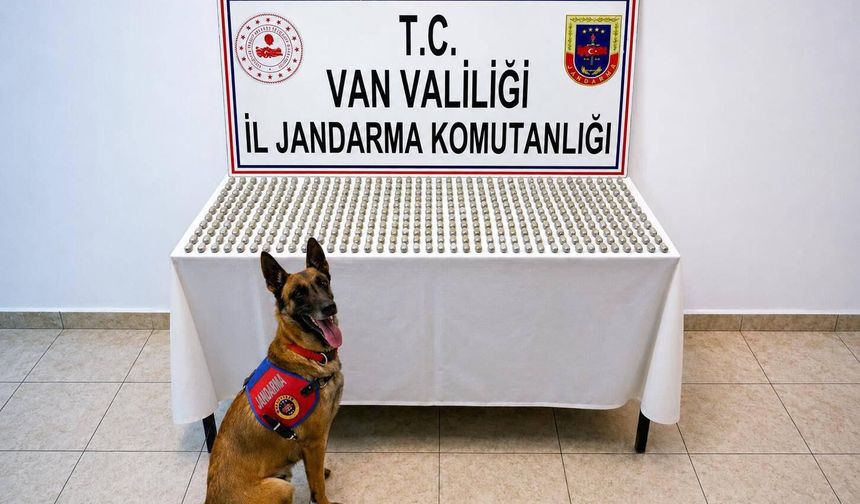 Van'da midesinde esrar taşıyan 8 kişi yakalandı!