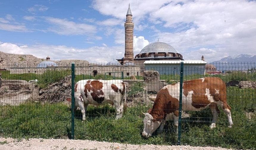 Vangölü Aktivistleri Derneği’nden Eski Van Şehri için koruma çağrısı