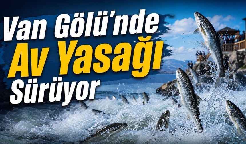 İnci Kefali için Van Gölü’nde av yasağı sürüyor