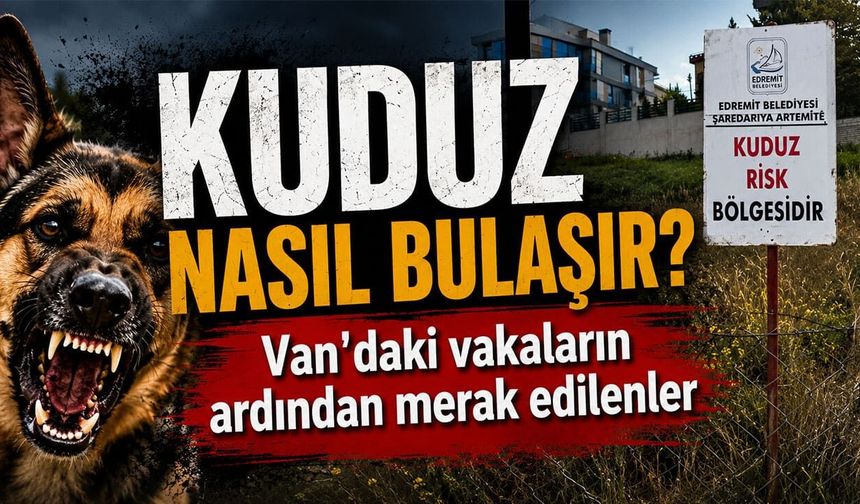 Kuduz bulaşıcı mıdır? Van'daki vakaların ardından merak edilenler