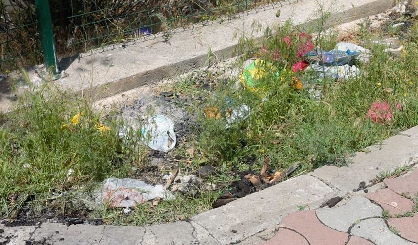 Muradiye Balık Bendi alarm veriyor: Doğa harikası çöplüğe döndü