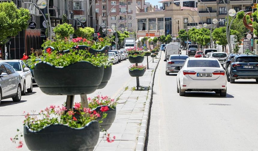 Van’da caddeler sardunyalarla süslendi