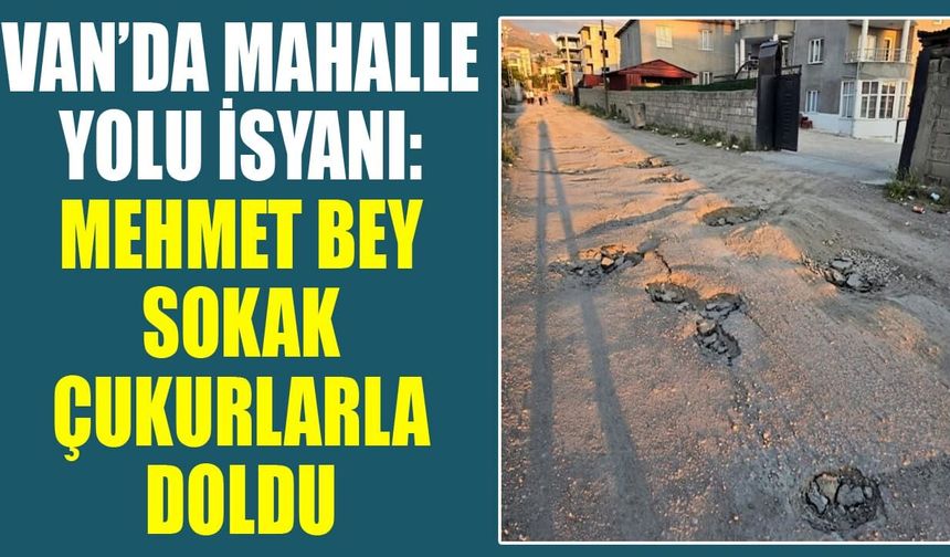 Van’da mahalle yolu isyanı: Mehmet Bey Sokak çukurlarla doldu