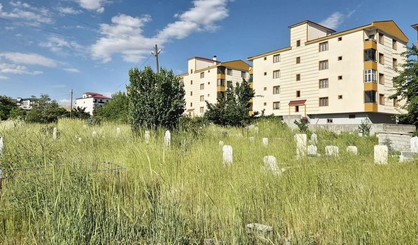 Van’da mezarlar otlar arasında kayboldu